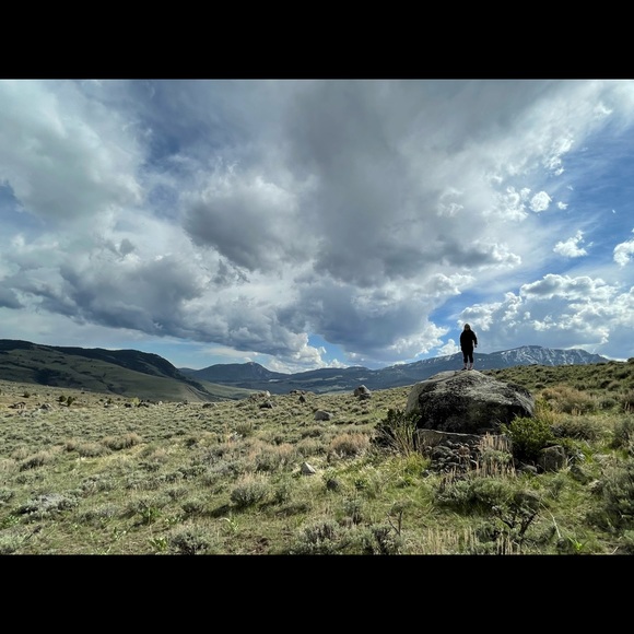 Meet your Posher, Madeline - Picture 3 of 3